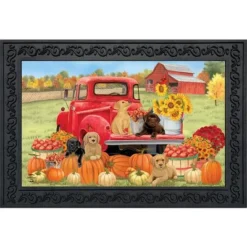 Fall Puppies Doormat Pumpkins Floral Indoor / Outdoor 30" X 18" Briarwood Lane