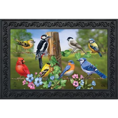 Briarwood Lane Country Birds Spring Doormat Finch Blue Jay Cardinal Indoor Outdoor 30" X 18" 1 Briarwood Lane Country Birds Spring Doormat Finch Blue Jay Cardinal Indoor Outdoor 30" X 18"